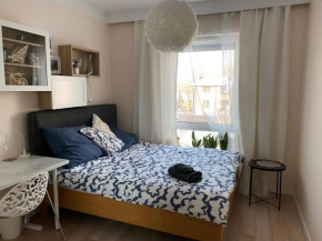 Homestay, Dąbrowa Górnicza